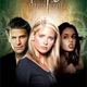 Illustration for article titled Favorite Seasons: The Best TV-On-DVD Sets